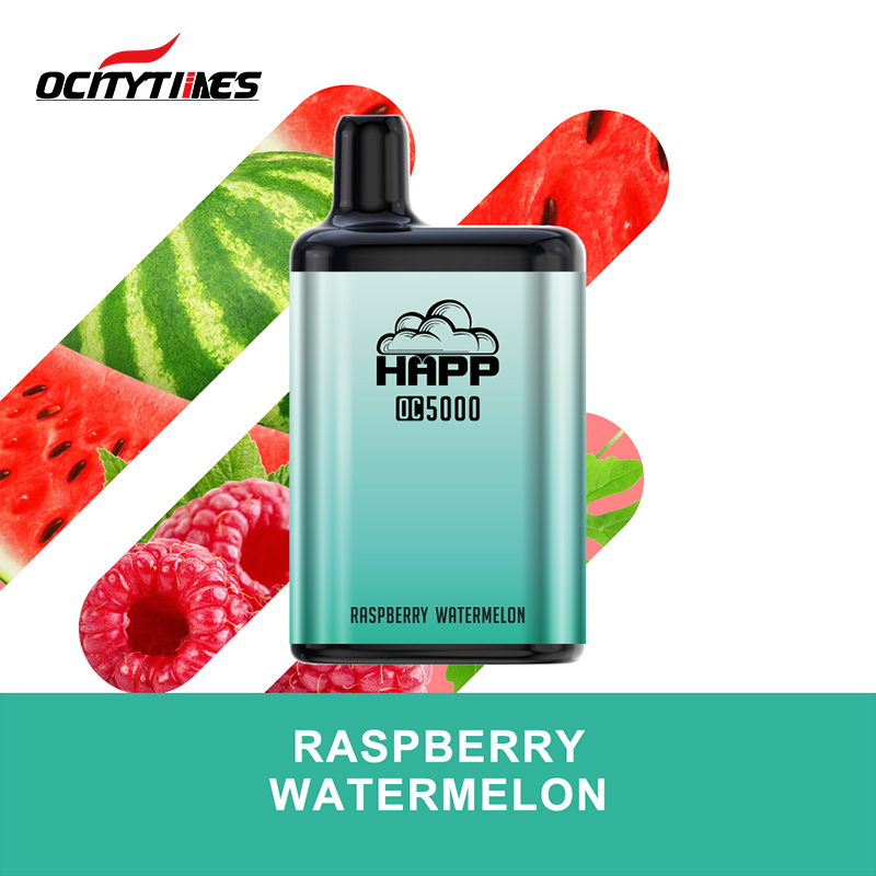 Watermelon Ice 5000 Puffs Mesh Coil Elektronische Einwegzigarette 